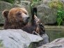 zologicka-zahrada-zoo.1
