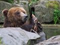 zologicka-zahrada-zoo.1