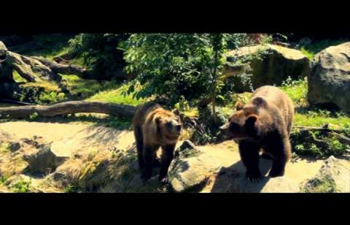 Děčín - ZOO a Rajské ostrovy