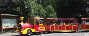 Hřensk&yacute; expres: V p&aacute;tek 20.7. bude ve 13:00 slavnostně zah&aacute;jen provoz silničn&iacute;ho turistick&eacute;ho vl&aacute;čku na trase  Hřensko &ndash;  Mezn&iacute; Louka &ndash; Hřensko