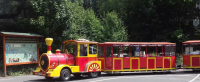 Hřensk&yacute; expres: V p&aacute;tek 20.7. bude ve 13:00 slavnostně zah&aacute;jen provoz silničn&iacute;ho turistick&eacute;ho vl&aacute;čku na trase  Hřensko &ndash;  Mezn&iacute; Louka &ndash; Hřensko