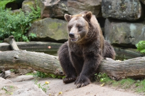 Podzimn&iacute; pr&aacute;zdniny v zoo: Vyhrajete si de&scaron;tn&iacute;k nebo pl&aacute;&scaron;těnku