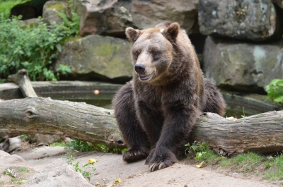 Podzimn&iacute; pr&aacute;zdniny v zoo: Vyhrajete si de&scaron;tn&iacute;k nebo pl&aacute;&scaron;těnku